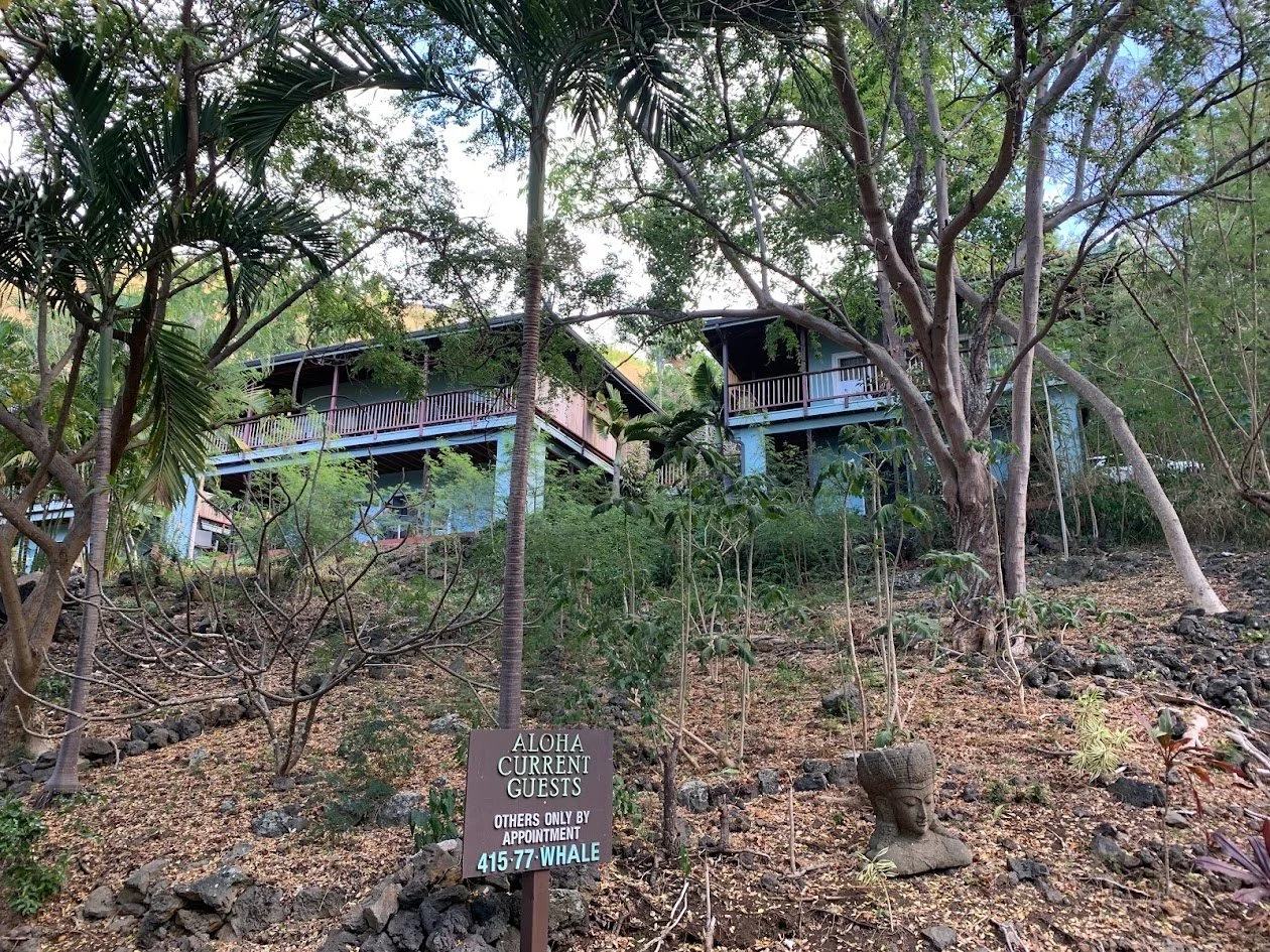 A hillside area with trees and plants, featuring two blue houses on stilts with decks, surrounded by nature. In the foreground, there is a sign that reads 'Aloha Current Guests. Others Only by Appointment 415-77-WHALE' and a decorative stone head scu