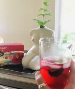 Savor the Season