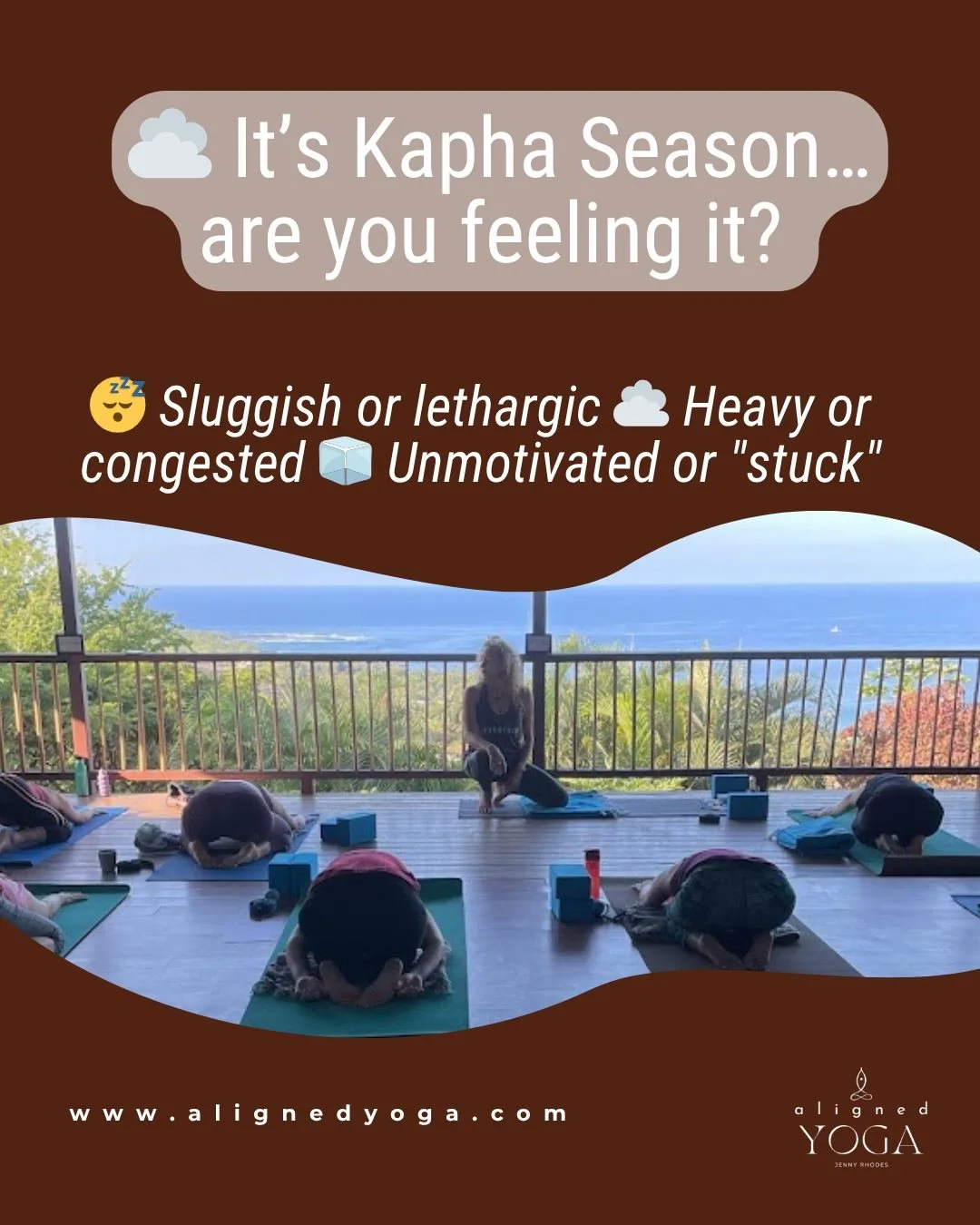 It&rsquo;s Kapha Season&hellip; are you feeling it?

In Ayurveda, Spring is ruled by Kapha&mdash;the energy of Earth and Water:

And when it&rsquo;s out of balance, you might feel: 
😴 Sluggish or lethargic 
☁️ Heavy or congested 
🧊 Unmotivated or &