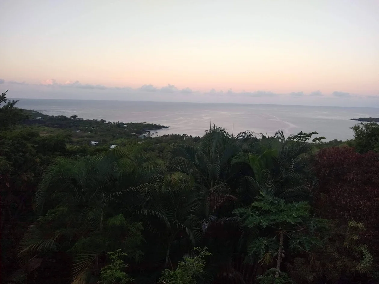 A scenic view of a lush green hillside overlooking the ocean during sunset, with few clouds in the sky.