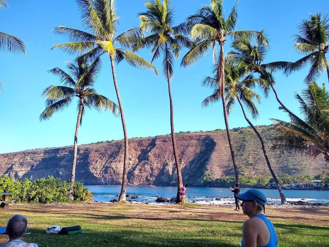 A tropical beach scene with tall palm trees, green grass, rocky shoreline, and a cliff in the background under a bright blue sky. Several people are enjoying the scenery, some standing and some sitting.
