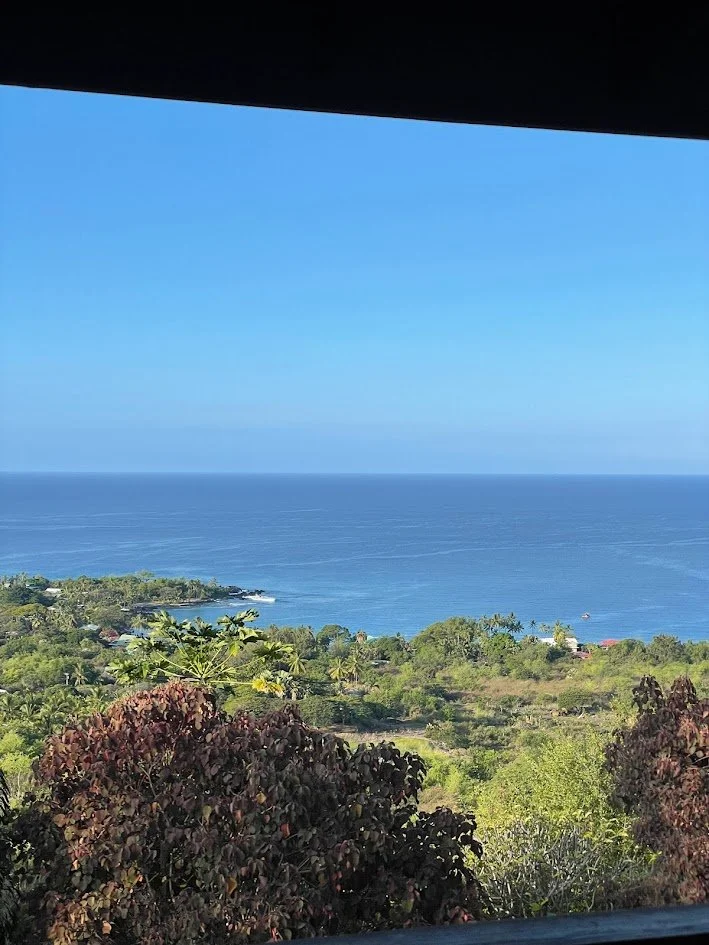 View of the ocean with a green coastline and trees in the foreground under a clear blue sky.