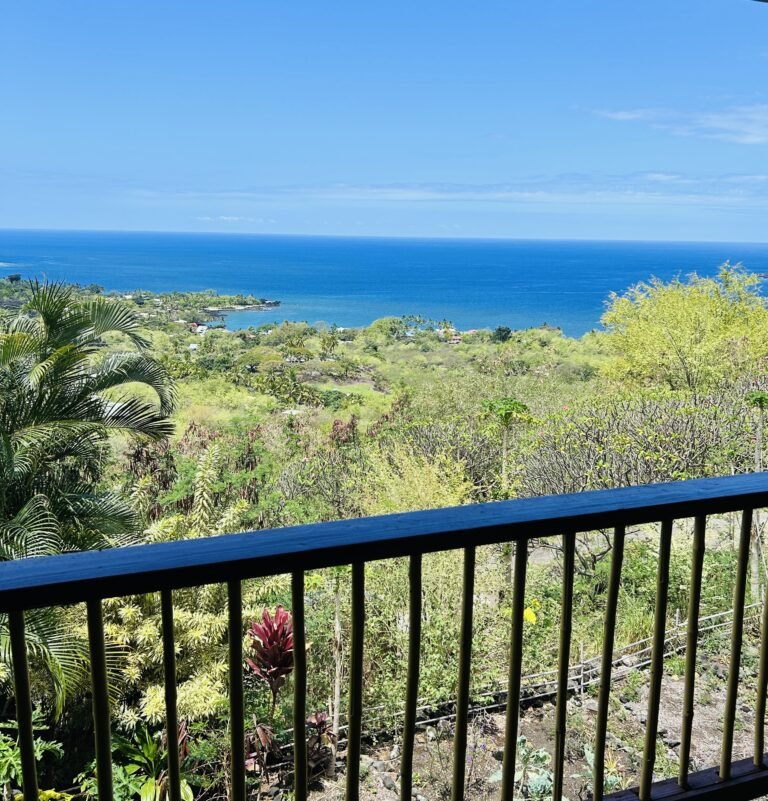 View of the ocean from a balcony over lush green trees and plants, with clear blue sky above.