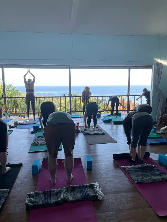 People practicing yoga on mats in a room with large windows overlooking the ocean.