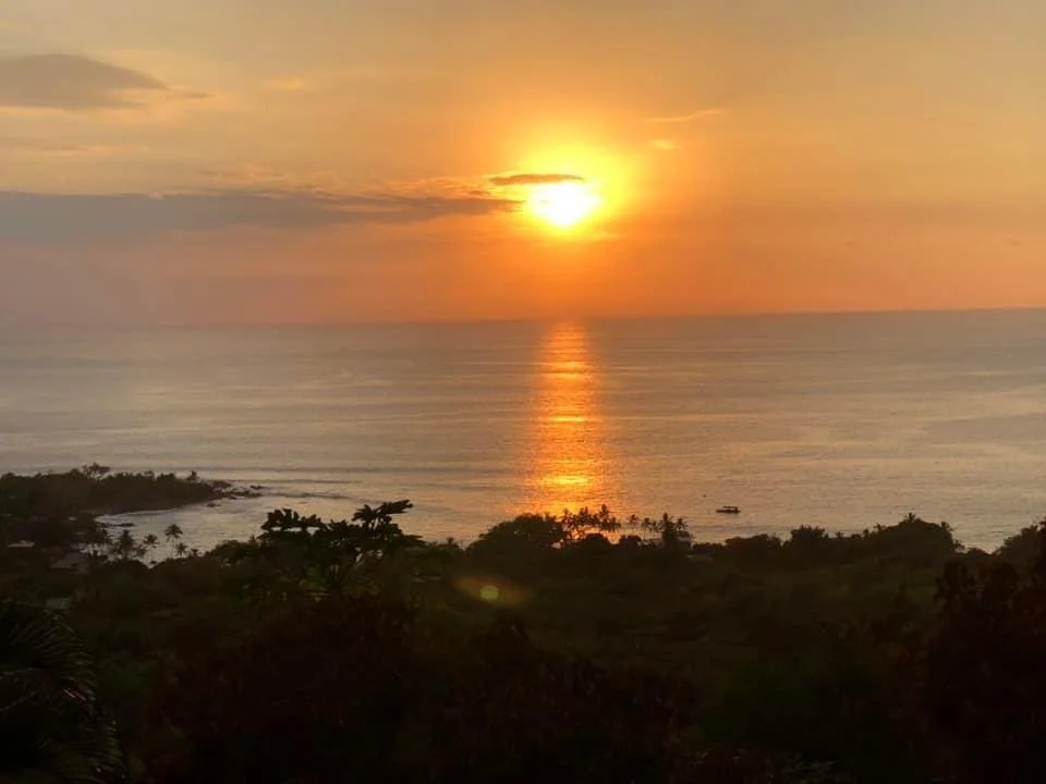 Sunset over the ocean with reflection on the water and silhouetted trees in the foreground.