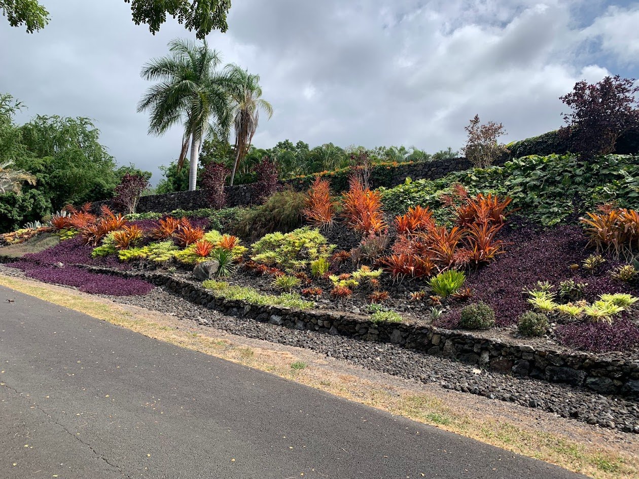 A landscaped garden with a variety of colorful plants, including red and green foliage, bordered by black volcanic rocks, with tall palm trees in the background under a cloudy sky.