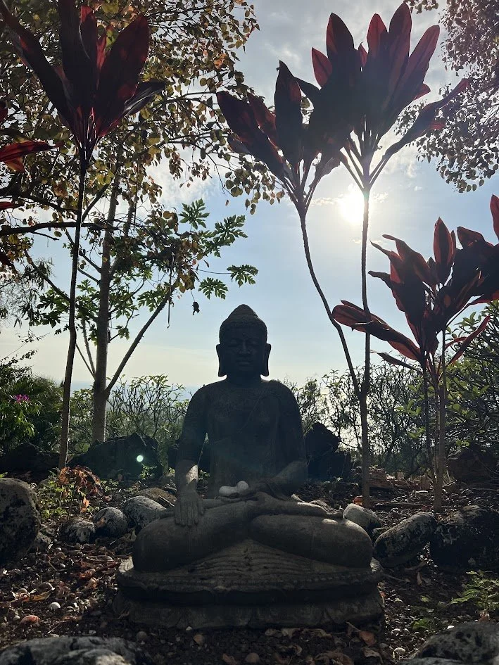A stone Buddha statue in a meditative pose surrounded by trees and rocks, with sunlight filtering through the foliage.