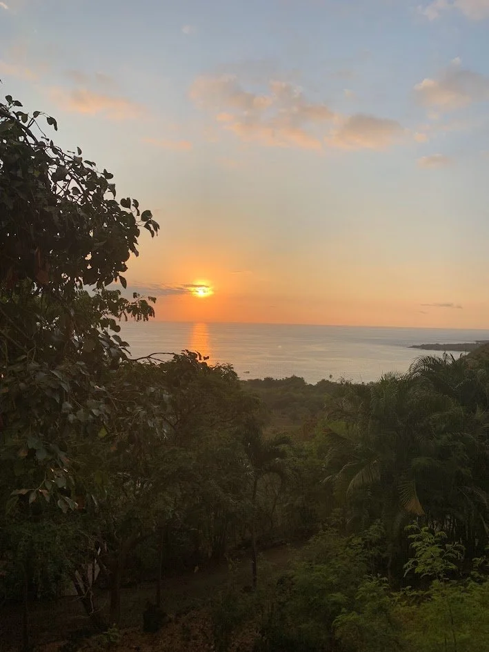 Sunset over the ocean seen through a lush forest with green trees and foliage.