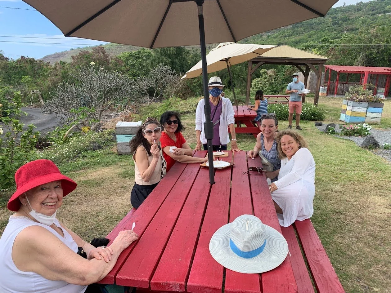 A group of women enjoying a picnic at a red outdoor table with umbrellas, surrounded by greenery and hills, with some others in the background.