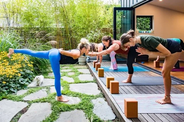 Women participating in outdoor yoga class with a small white dog nearby, practicing balancing poses on yoga mats on a wooden deck, surrounded by greenery.
