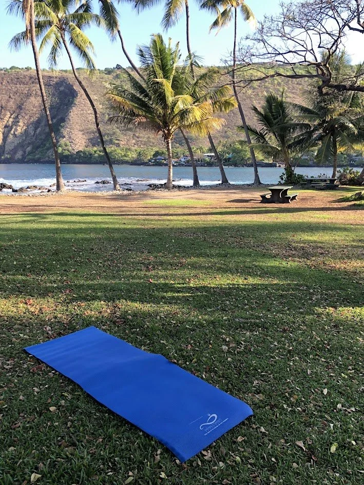 Outdoor scene with palm trees near a body of water, grassy area with a blue mat on the ground, and picnic tables in the background.