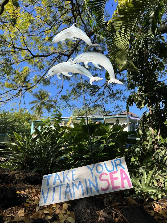 Decorative sign with paper dolphins and the message, "Take Your Vitamin Sea," set among tropical plants and trees outdoors on sunny day.