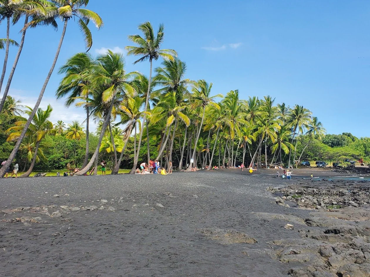 Black sand beach with tall palm trees and people relaxing and walking along the shoreline on a sunny day.