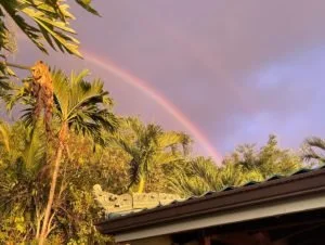 A rainbow appears in a cloudy sky above palm trees and a building roof in a tropical setting.