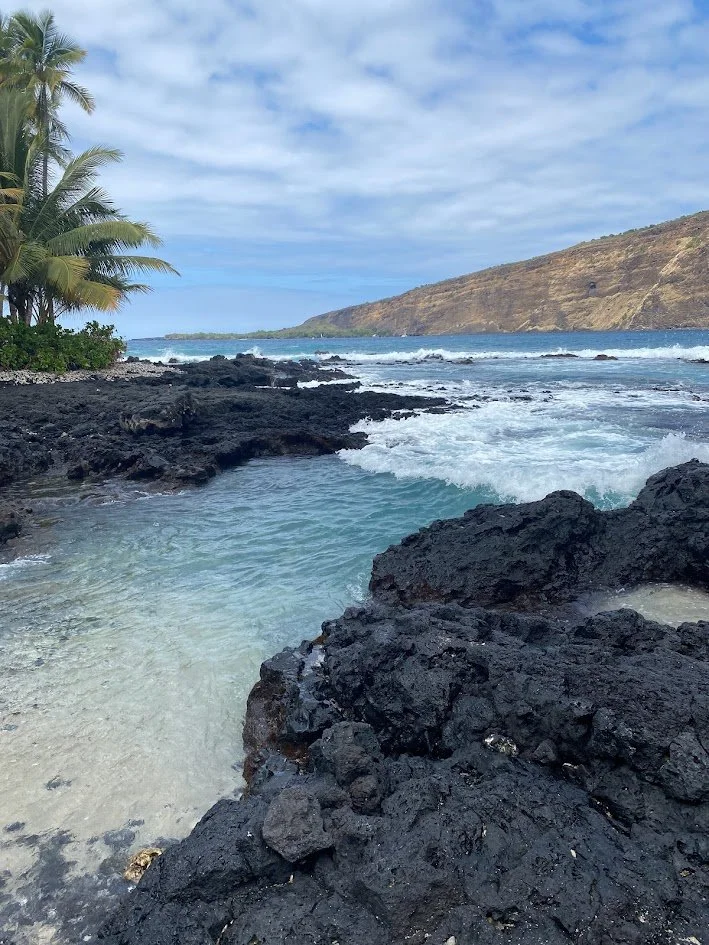 A coastal scene with black volcanic rocks, clear ocean water, palm trees on the left, a hilly landmass in the background, and partly cloudy sky.