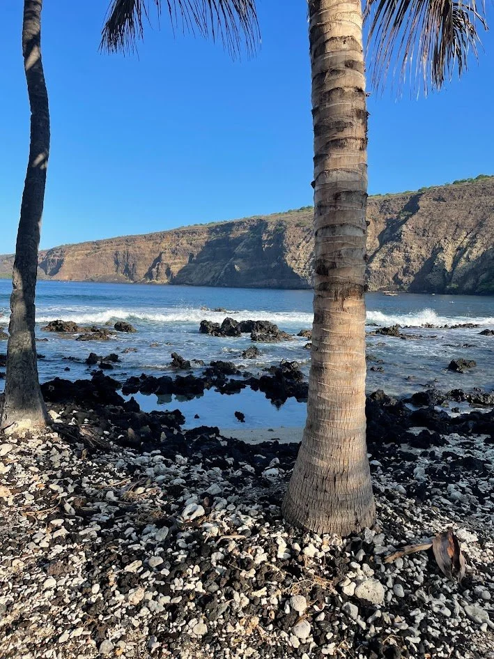 A tropical beach scene with two palm trees, rocky and pebbly shoreline, and ocean waves with cliffs in the background under a clear blue sky.