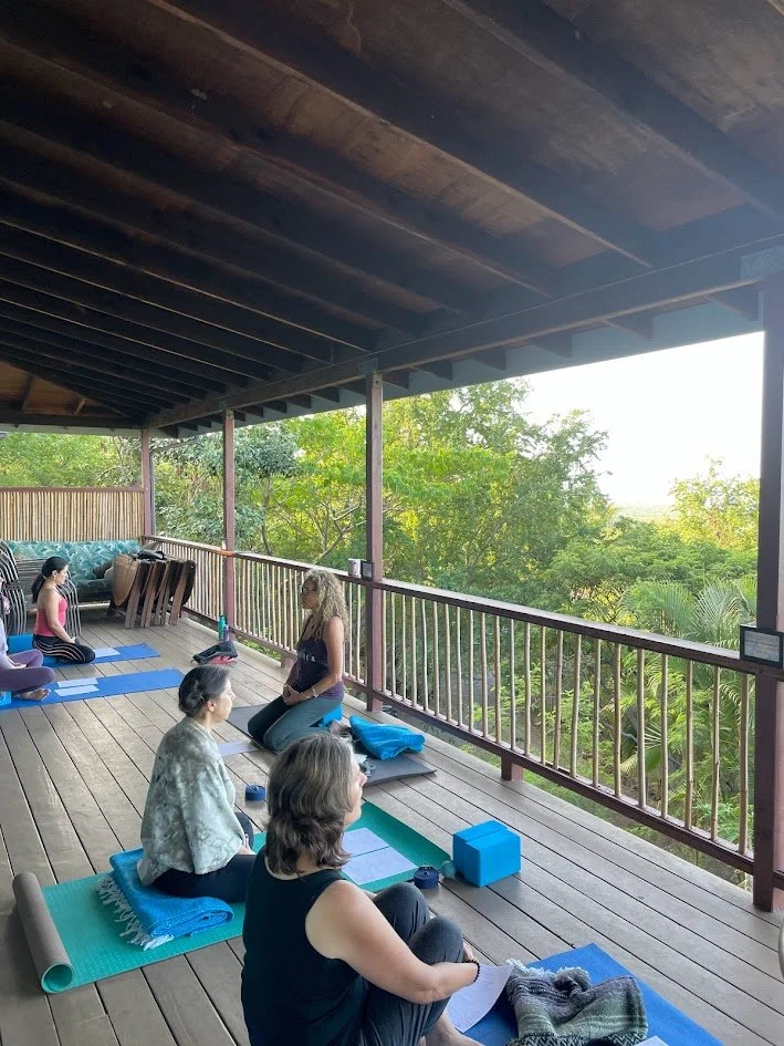 People participating in a yoga class on an outdoor wooden deck with a view of green trees.