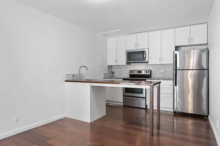 Apartment guest unit small kitchen with penninsula seating 