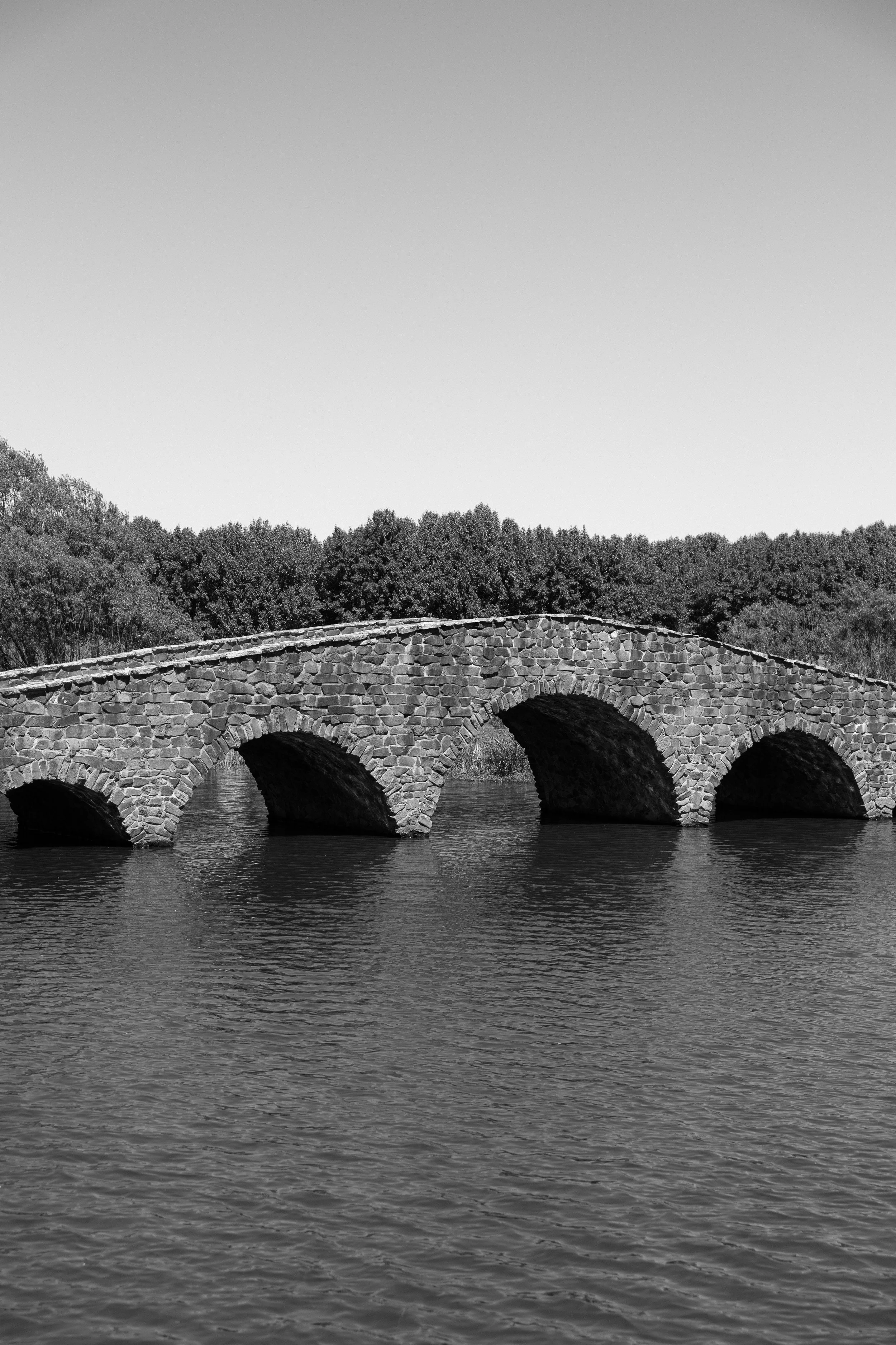 katedeakin-3 (1).jpg