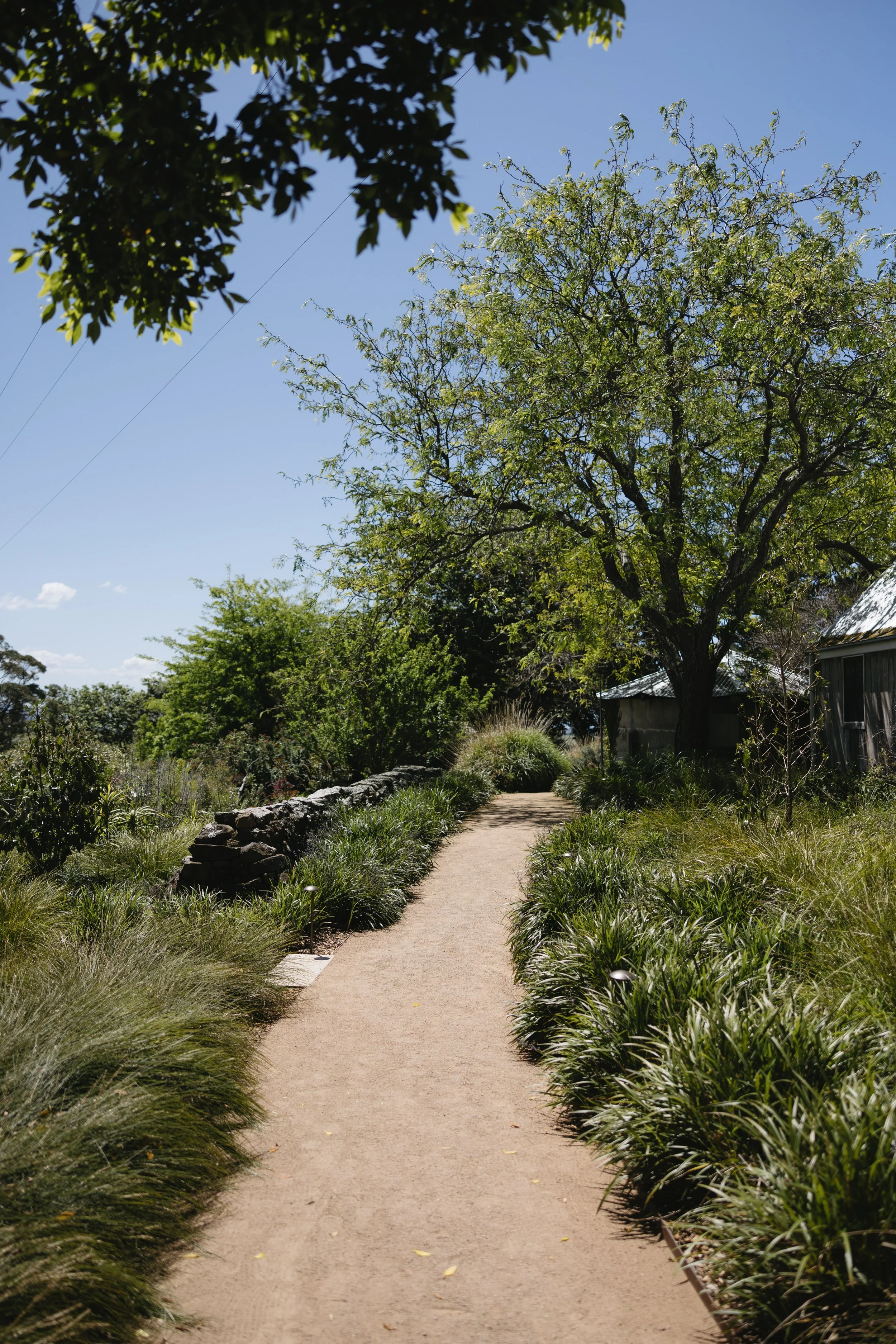 daniellenick-7 (1).jpg