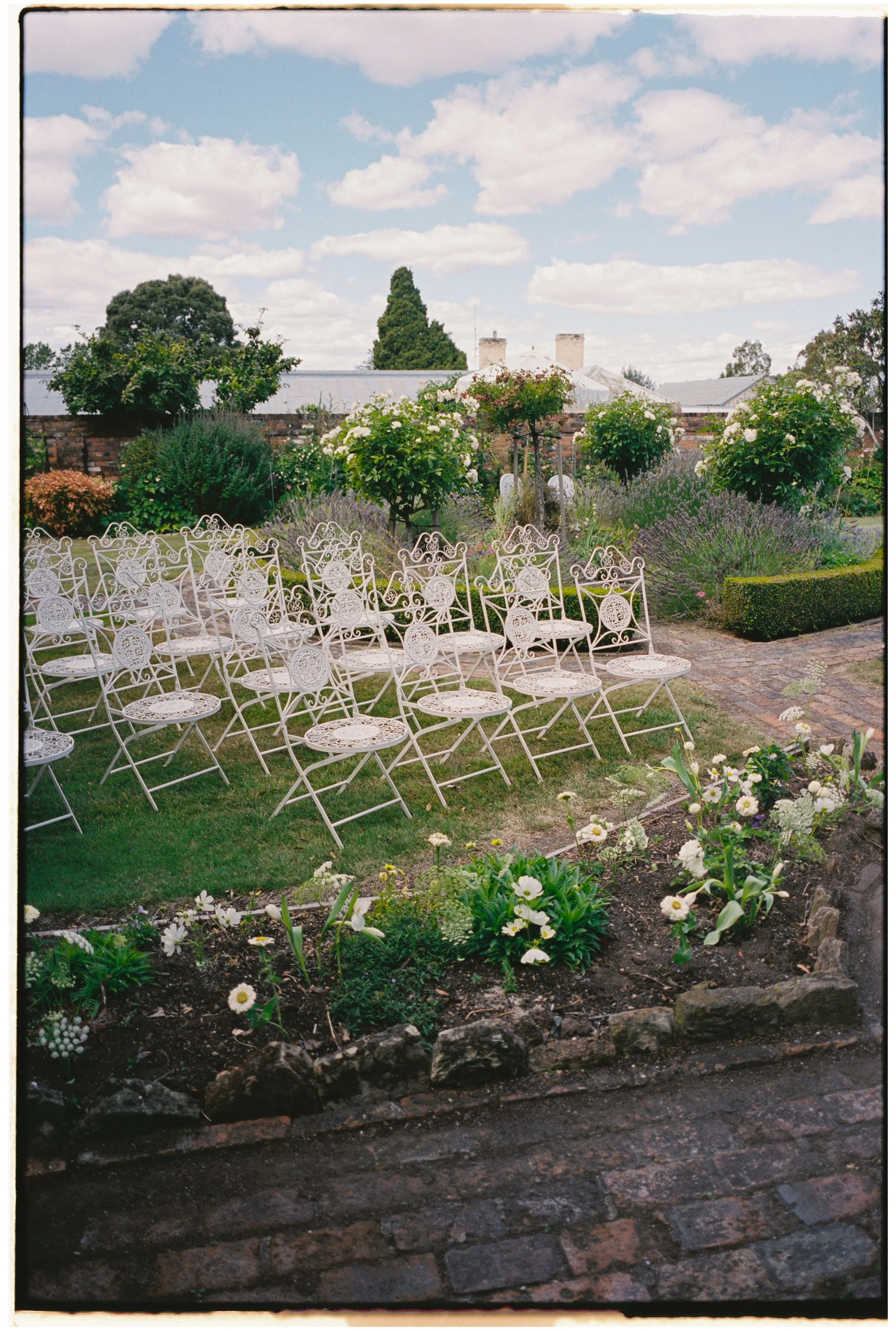 lillijonathonFILM-6.jpg