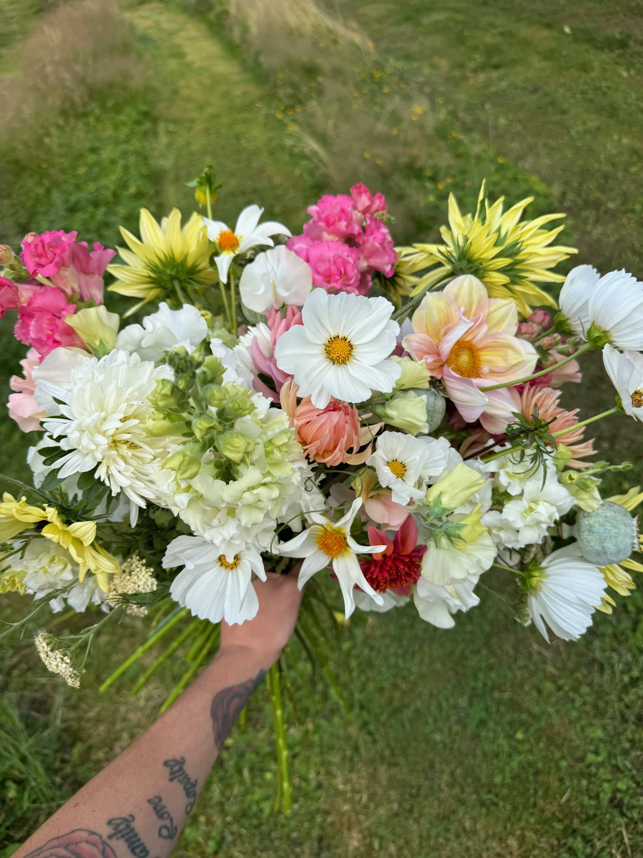 A hand holding a colorful bouquet of various flowers including white, pink, yellow, and peach blooms, with a blurred grassy background.