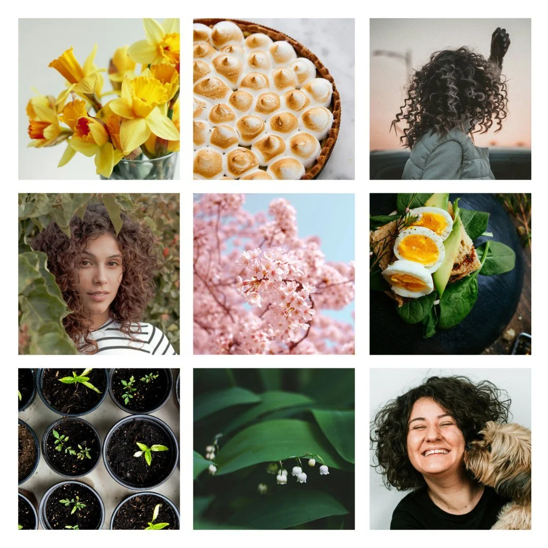 As March unfolds, a sense of renewal and hope fills the air. The arrival of spring brings with it the promise of new beginnings and vibrant colors. I'm eagerly anticipating the delightful blooms that will soon adorn our gardens and landscapes. There'