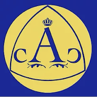 Custom Academic Coaching