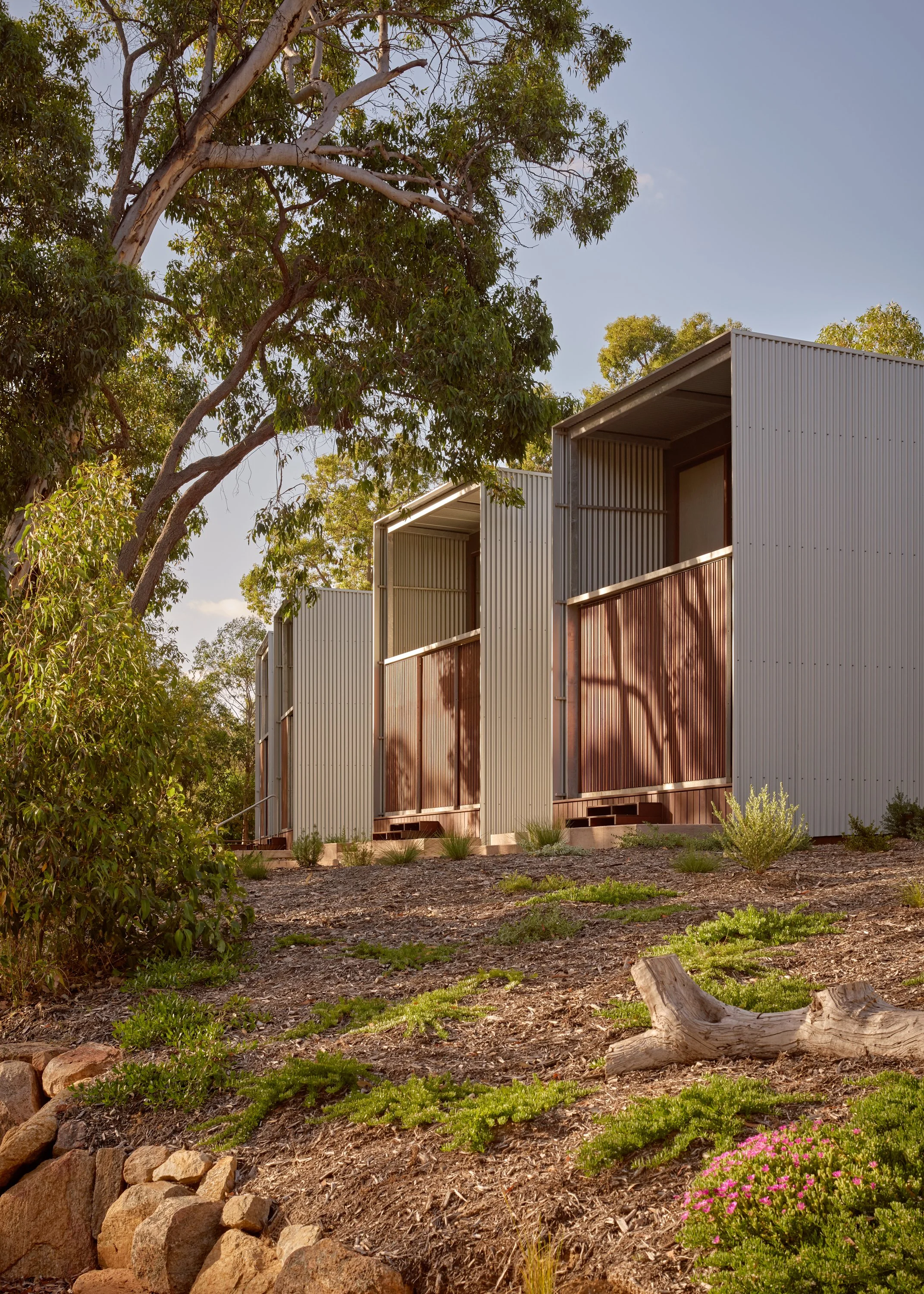 20251217_Hovea_Flowhouse_ 314.jpg