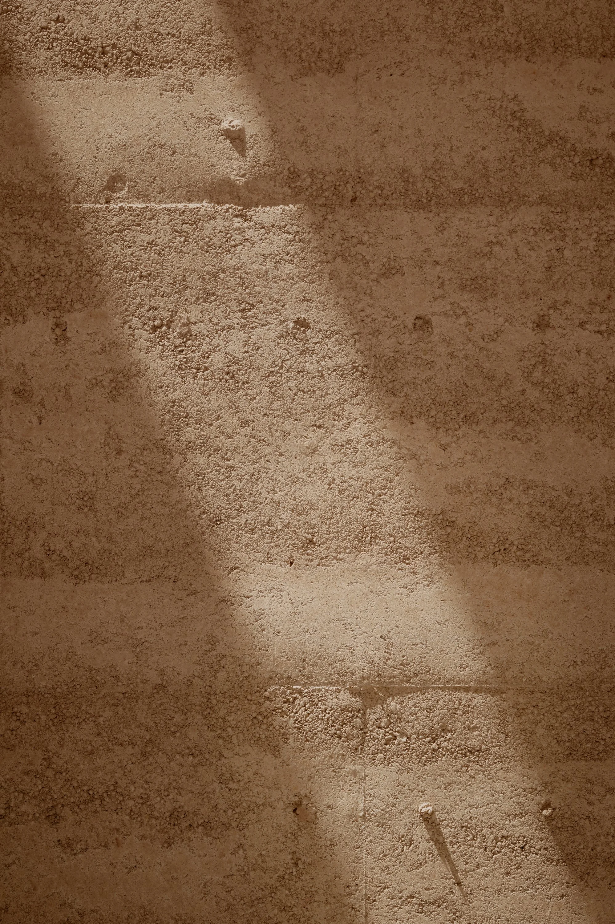 20251217_Hovea_Flowhouse_ 84.jpg