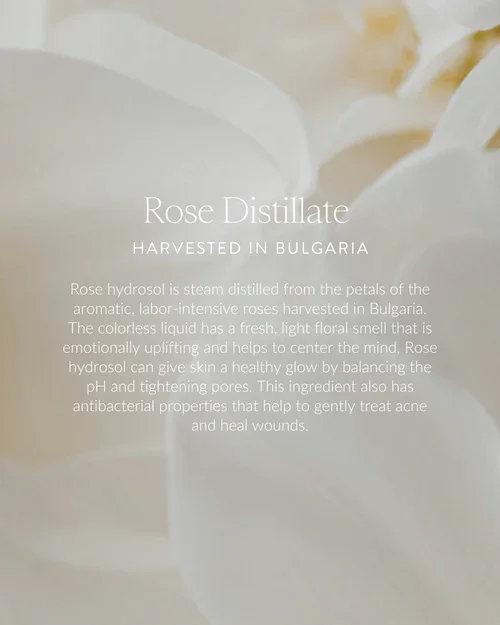 Text about rose distillate and its benefits overlaying a soft, light background.