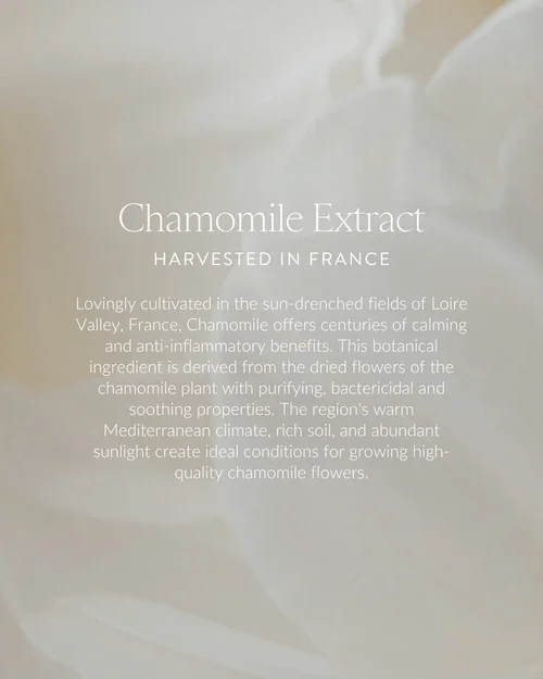 Label describing chamomile extract, harvested in France, with details about its cultivation and benefits.