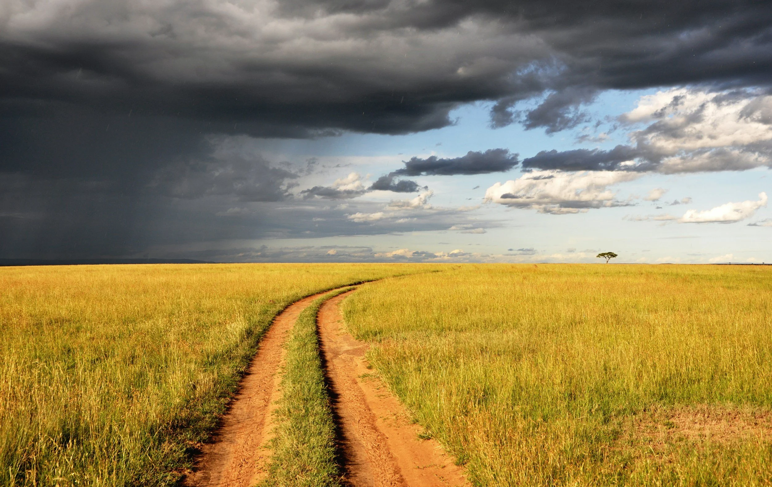 Dirt road winding through a wide grassy field with a single tree in the distance and dark storm clouds overhead.