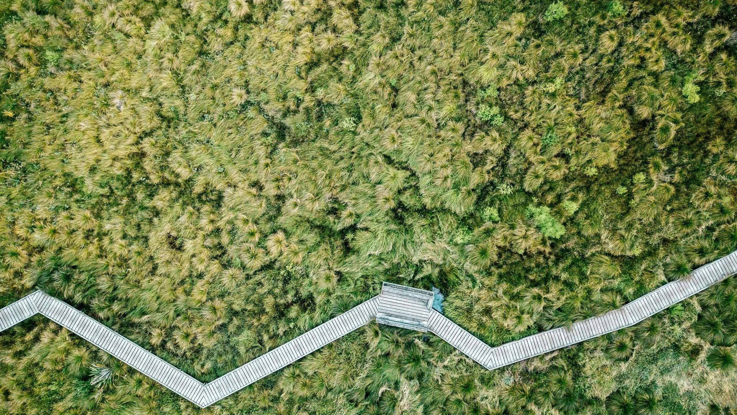 An aerial view showing a winding wooden walkway through a dense forest of green trees and shrubs.