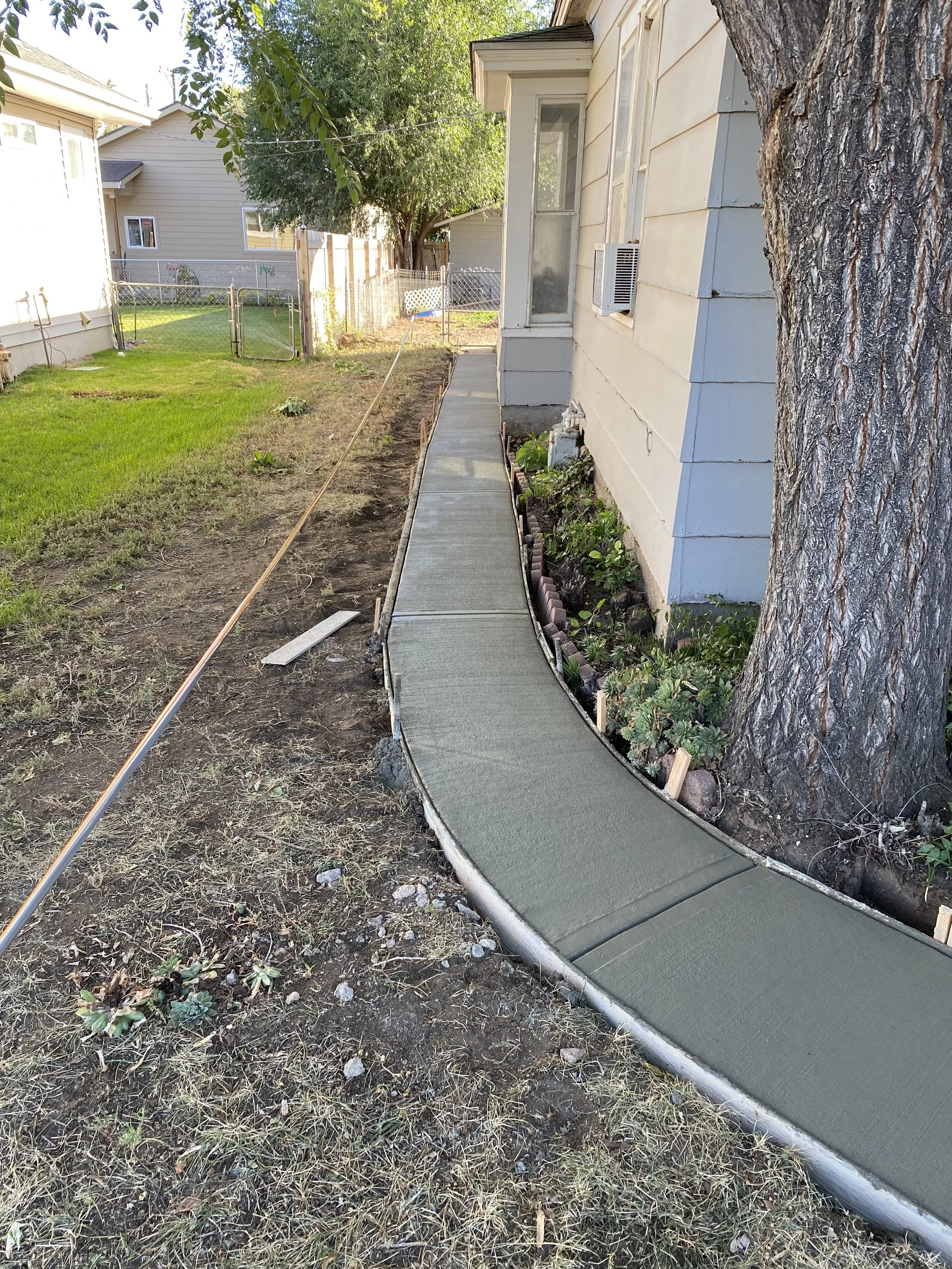 A freshly poured concrete sidewalk curves along the side of a house with beige siding, next to a large tree and small garden bed, in a residential backyard with fenced yard and neighboring houses visible in the background.