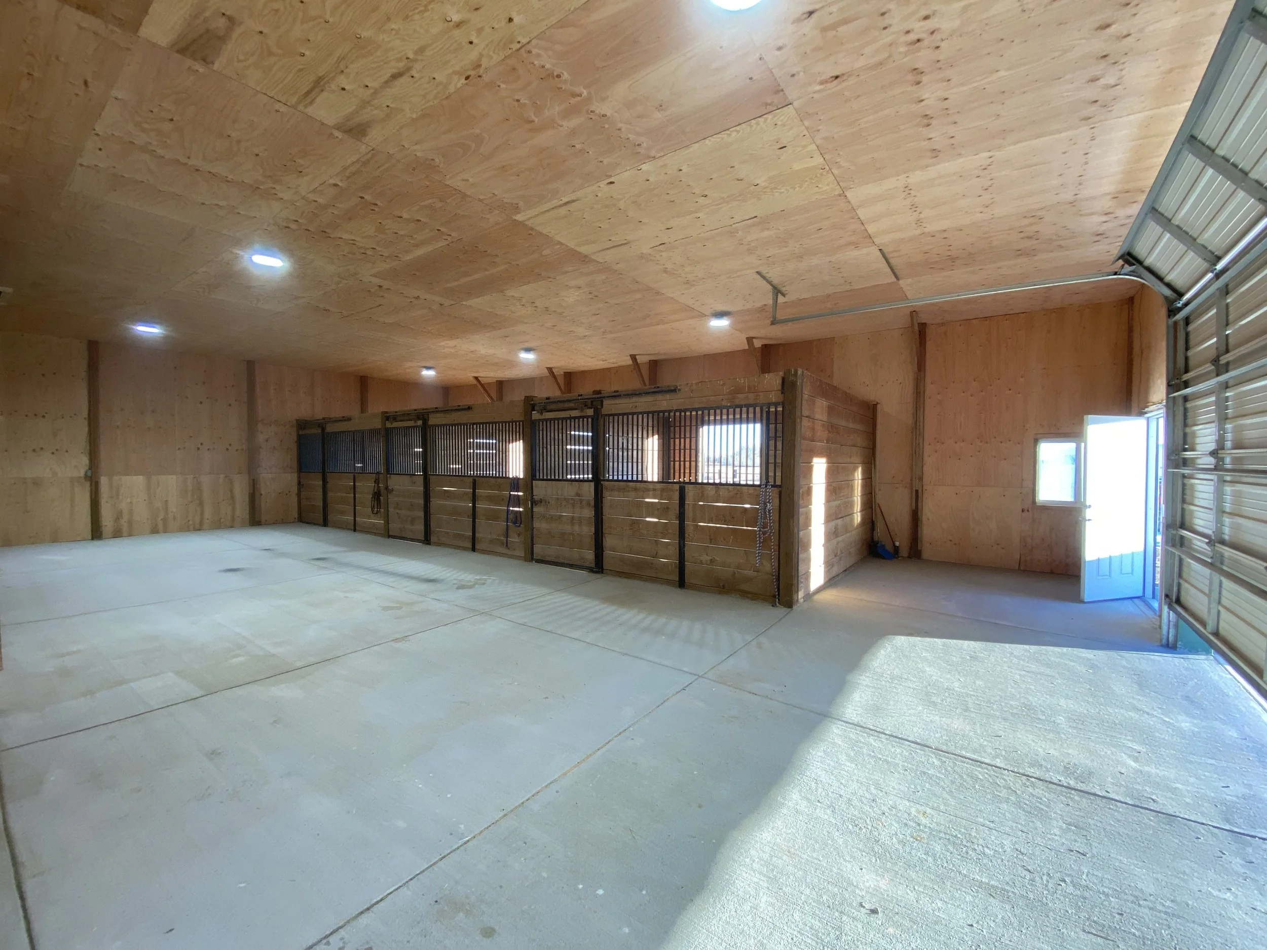 An indoor riding arena with a concrete floor, wooden walls, and a high wooden ceiling. There are several lights on the ceiling, and a partially open metal garage door on the right side with sunlight coming in.