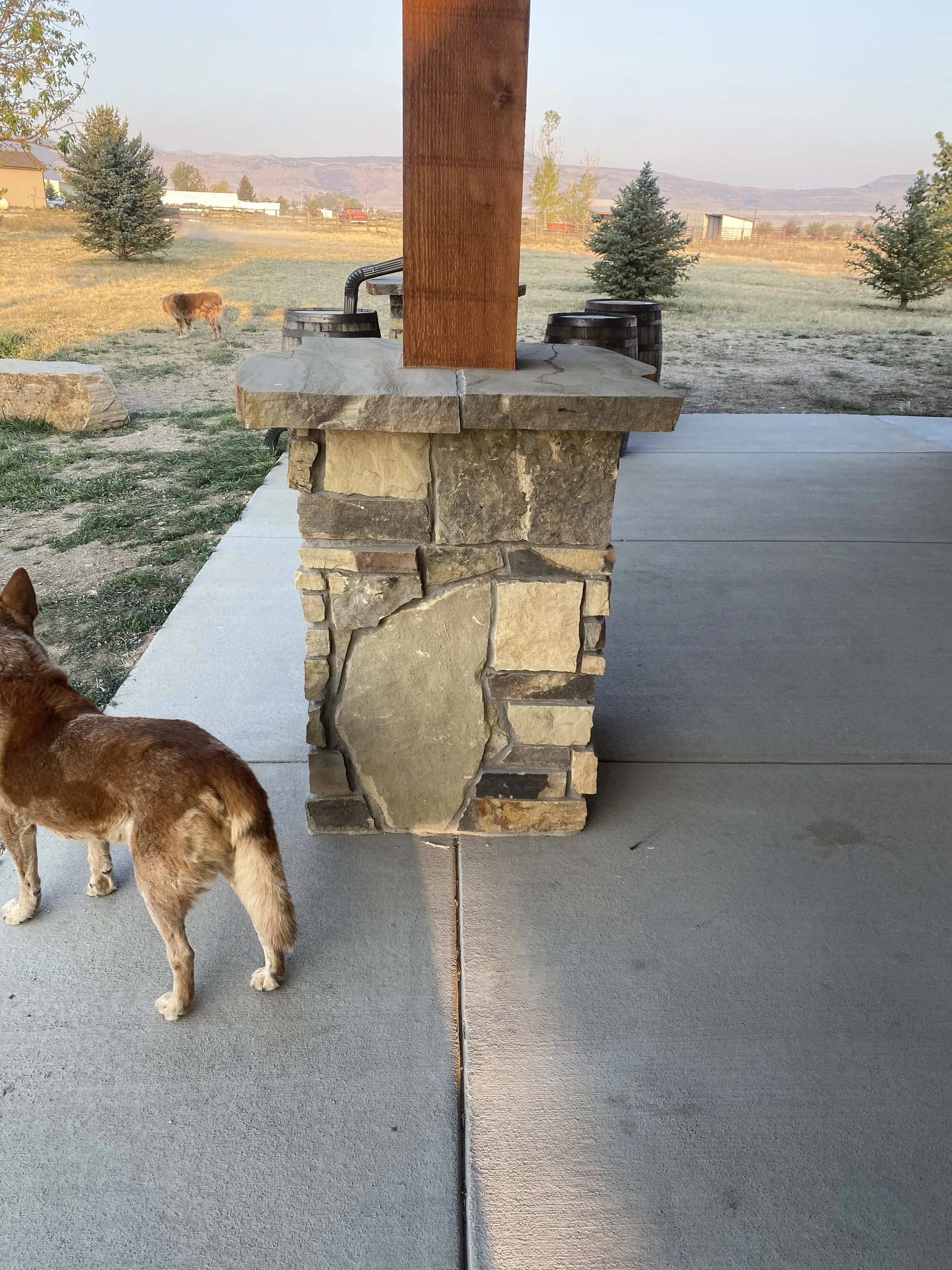 A stone and wood outdoor structure with two dogs nearby and a landscape with trees and mountains in the background.