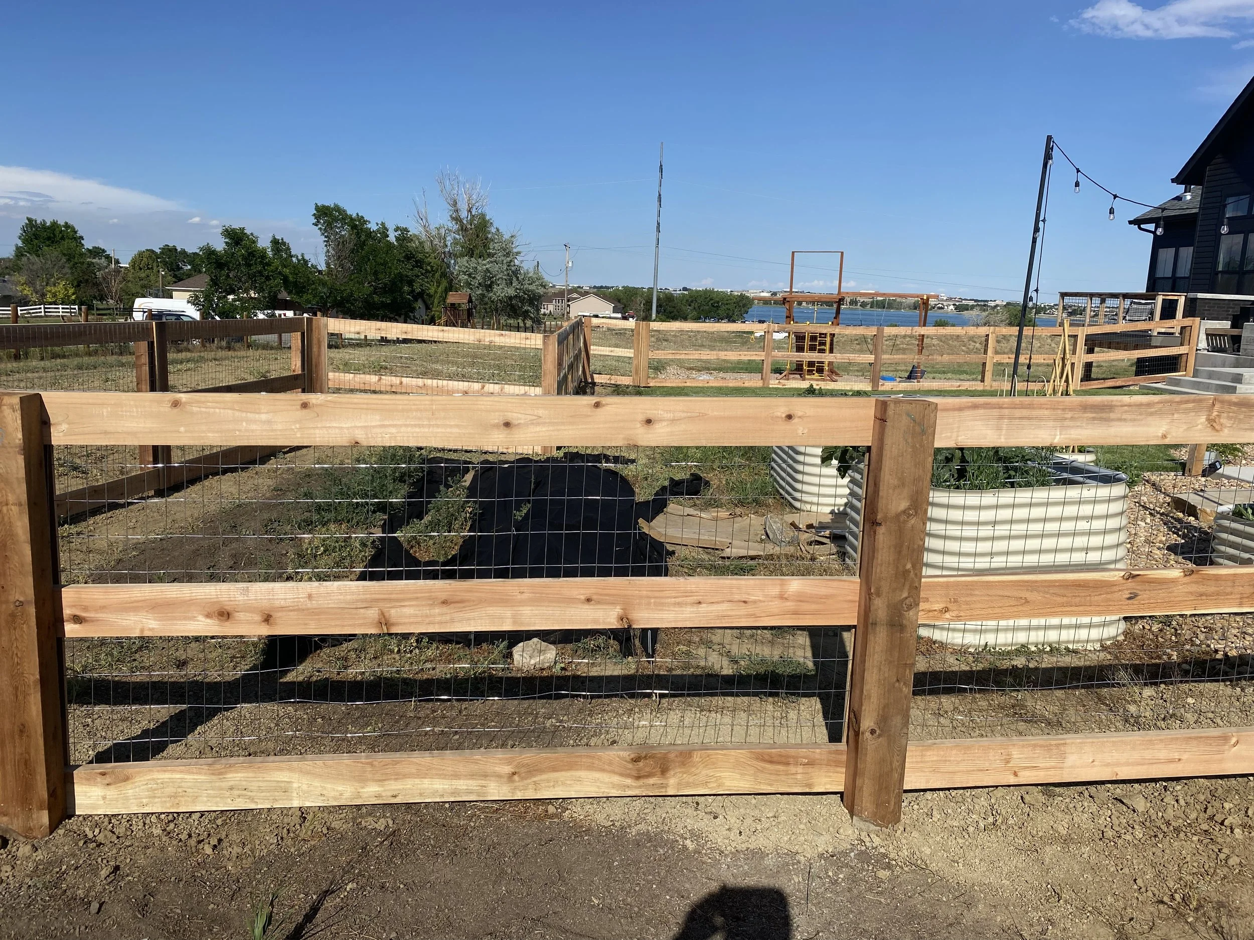 Fenced garden area with a black cow lying down, planted raised beds, and a house with stairs in the background under a blue sky.