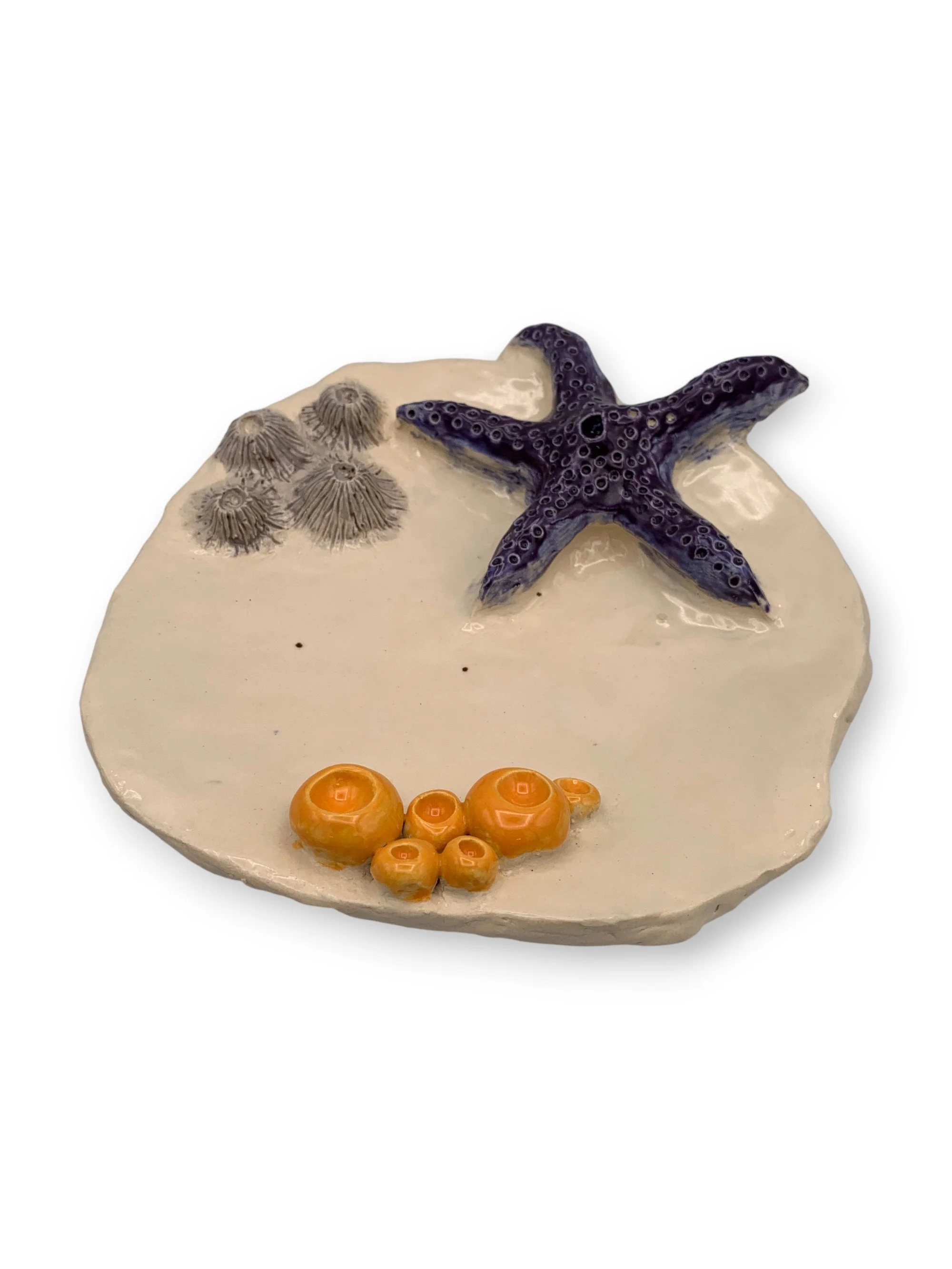 Decorative ceramic art wall hanging/plate depicting a starfish, coral, and barnacles on a beige base.