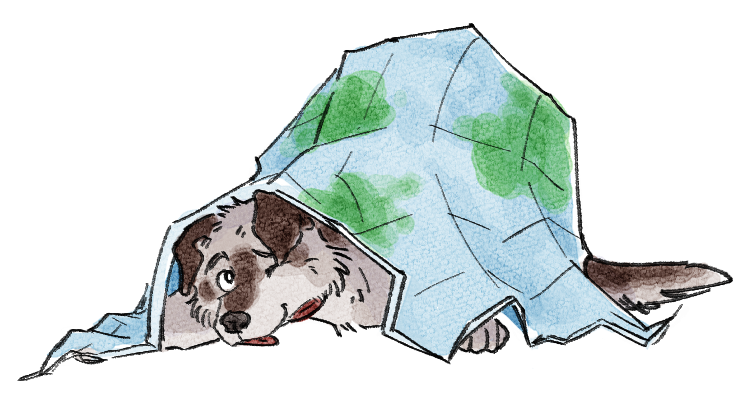 11social studies.png