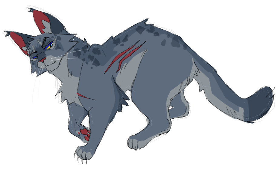 ashfur re(1).png