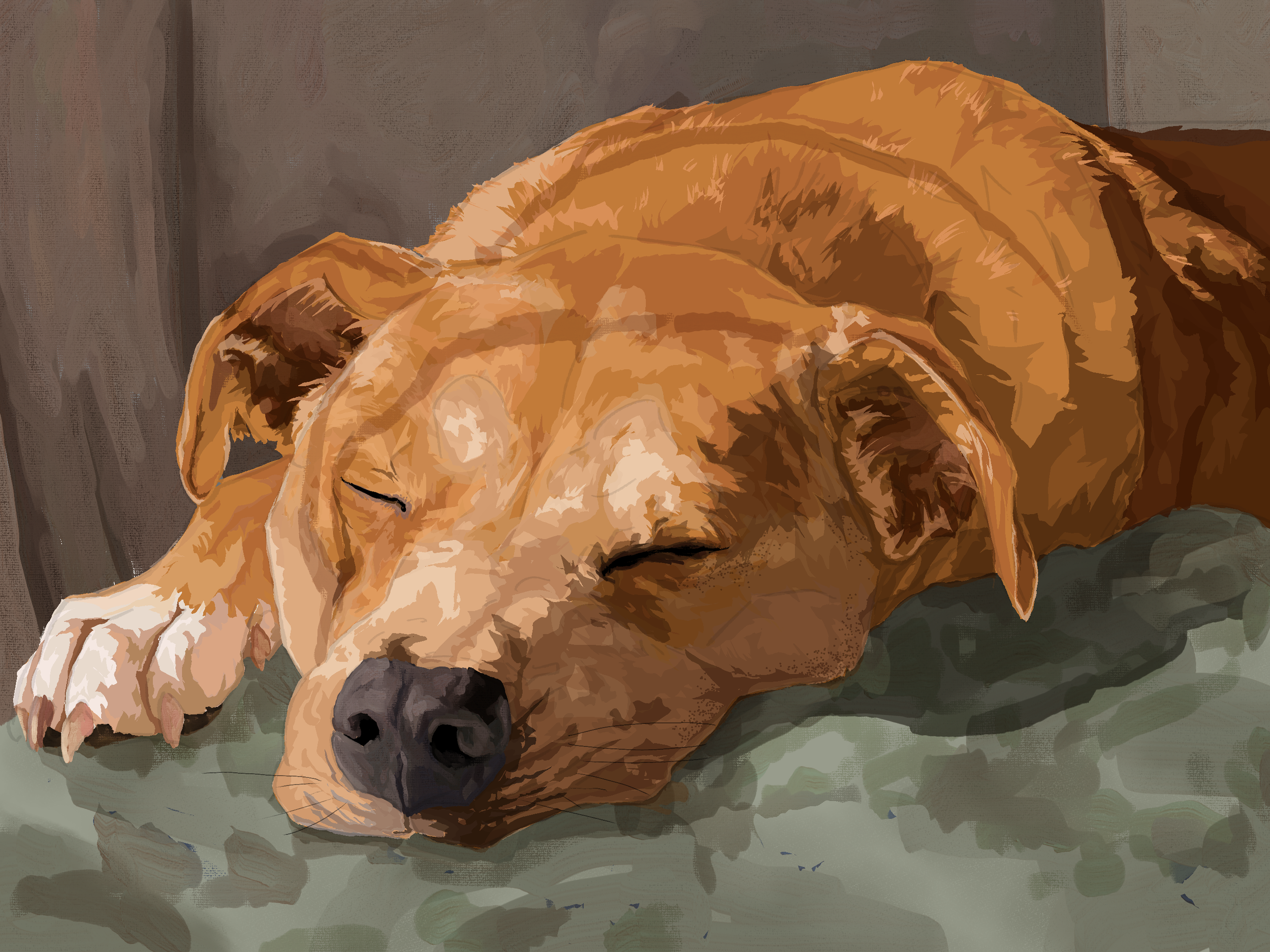 kelly christmas24 dipper.png