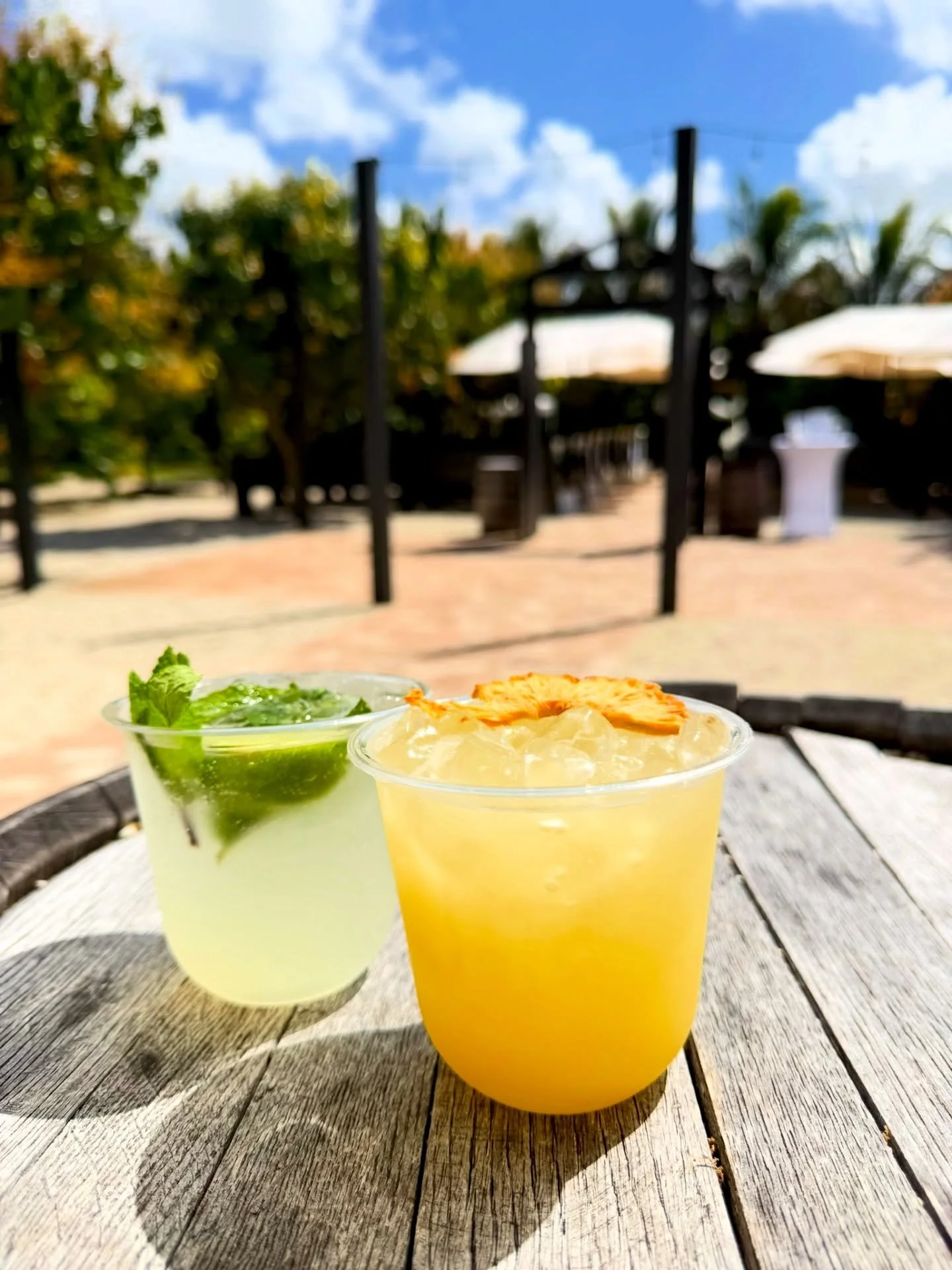 Mojitos, Pi&ntilde;a Coladas, and a day full of love 🍹✨💛