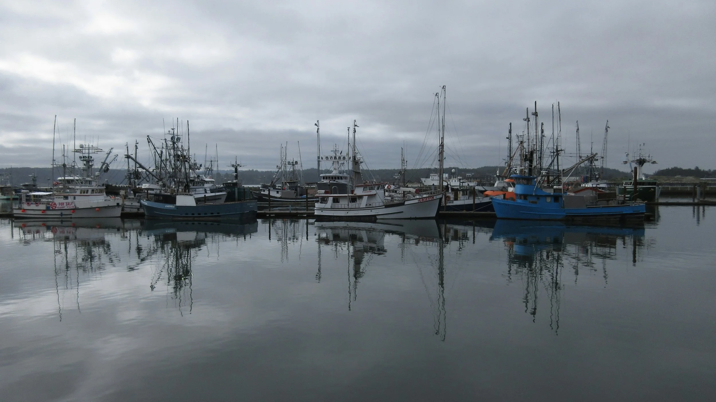The Physiology of Dungeness crab under multiple future environmental challenges