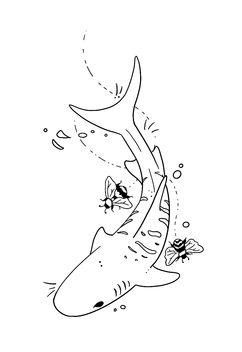 Untitled_Artwork 1 (5).png