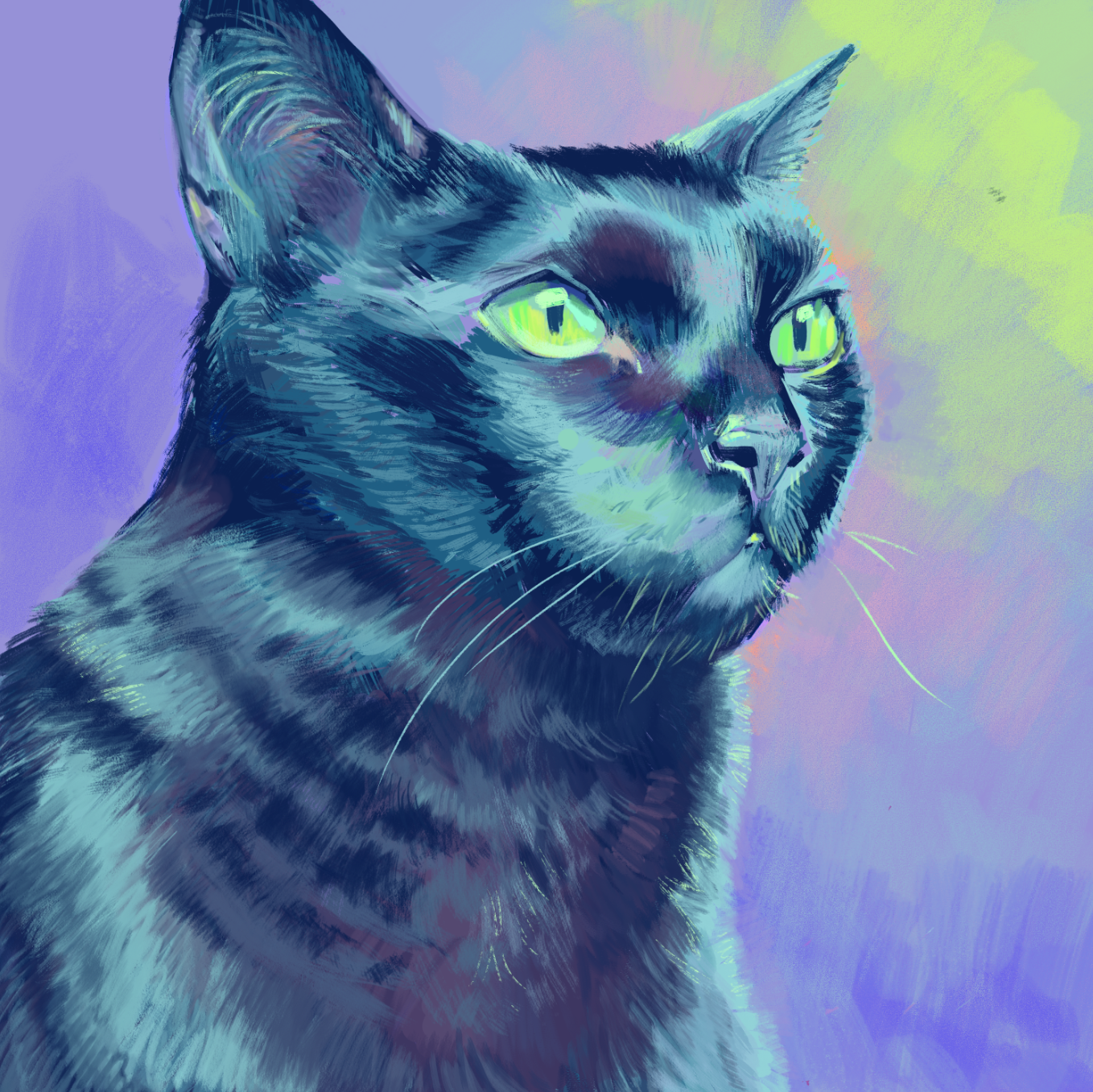 kitty_portrait.png