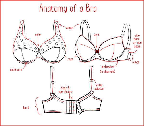 Bra Fitting for Everyone is a primer on bra sizing, fit, and shape.

Learn the skills to empower you to find bras that work for your life, comfort, and body. 

 Purchase digital copy of the book here. 