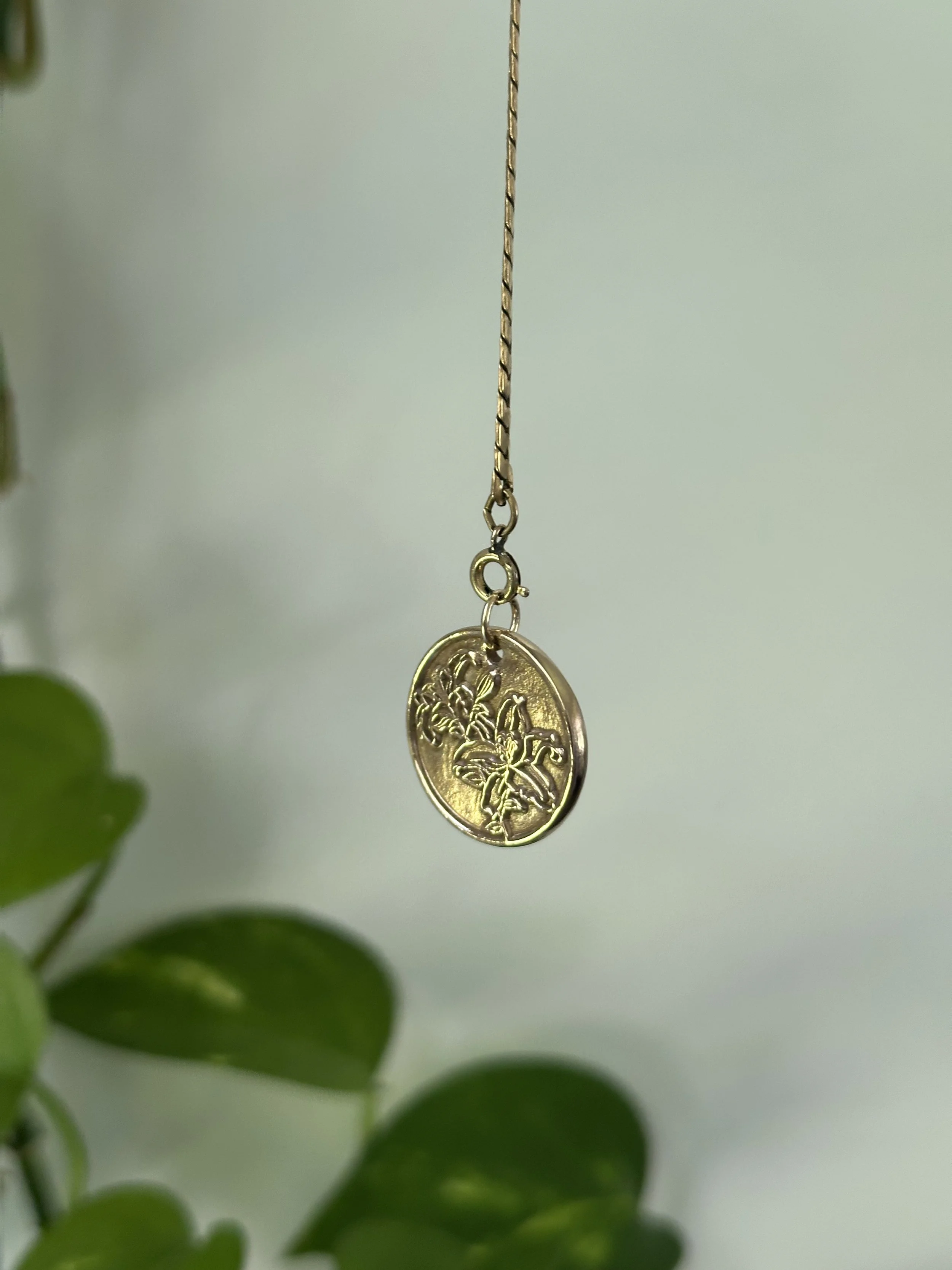 Gold necklace with coin pendant hanging in front of a green plant and a plain light-colored background.