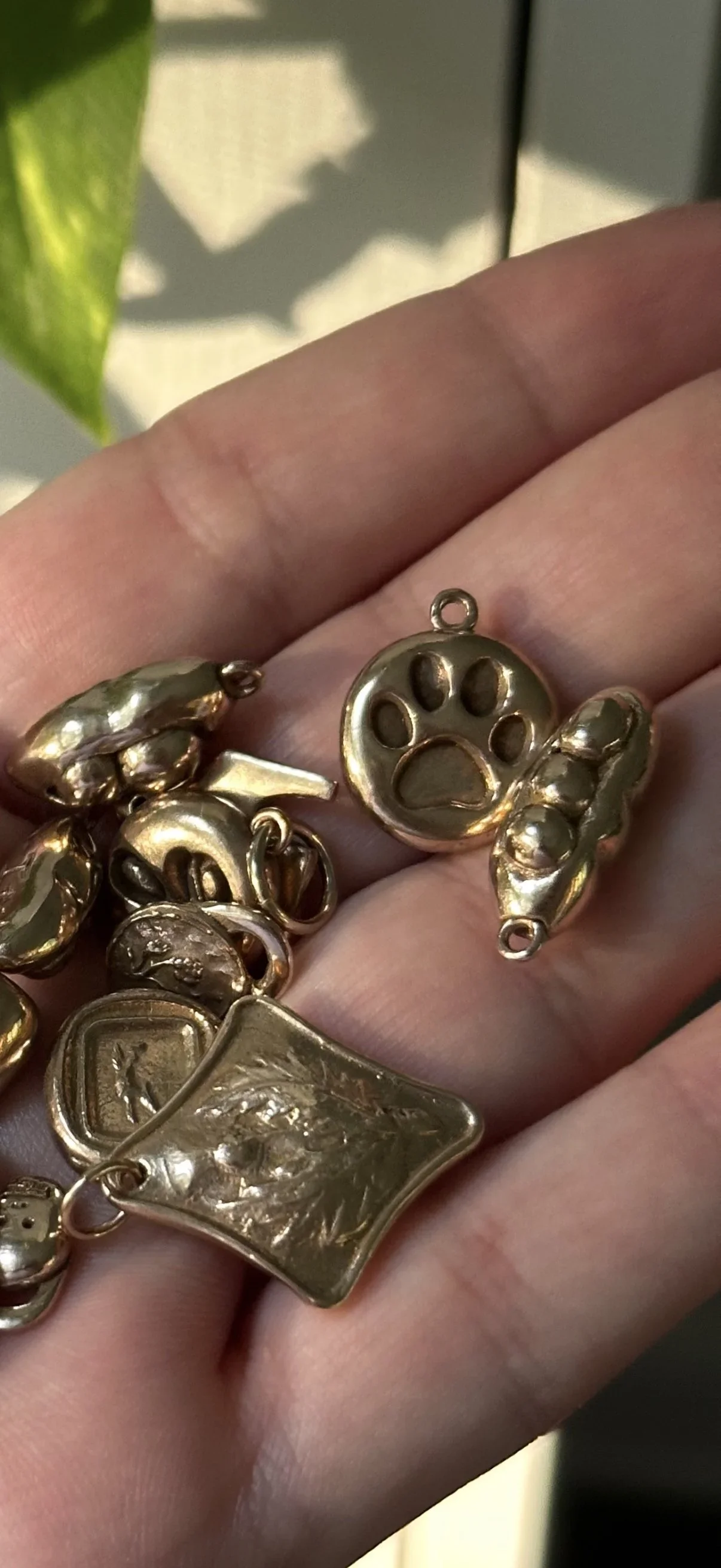 paw print charm