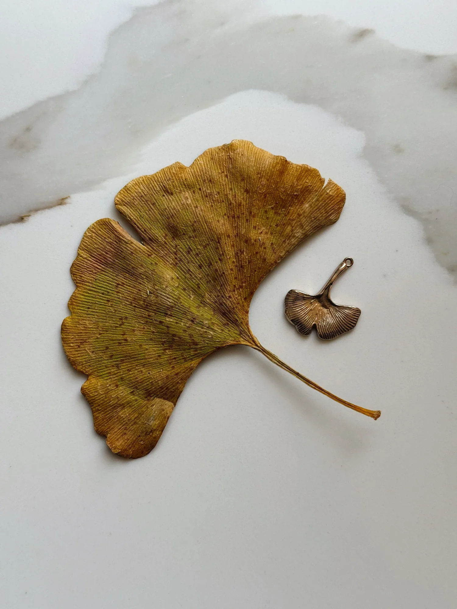 ginkgo leaf charm